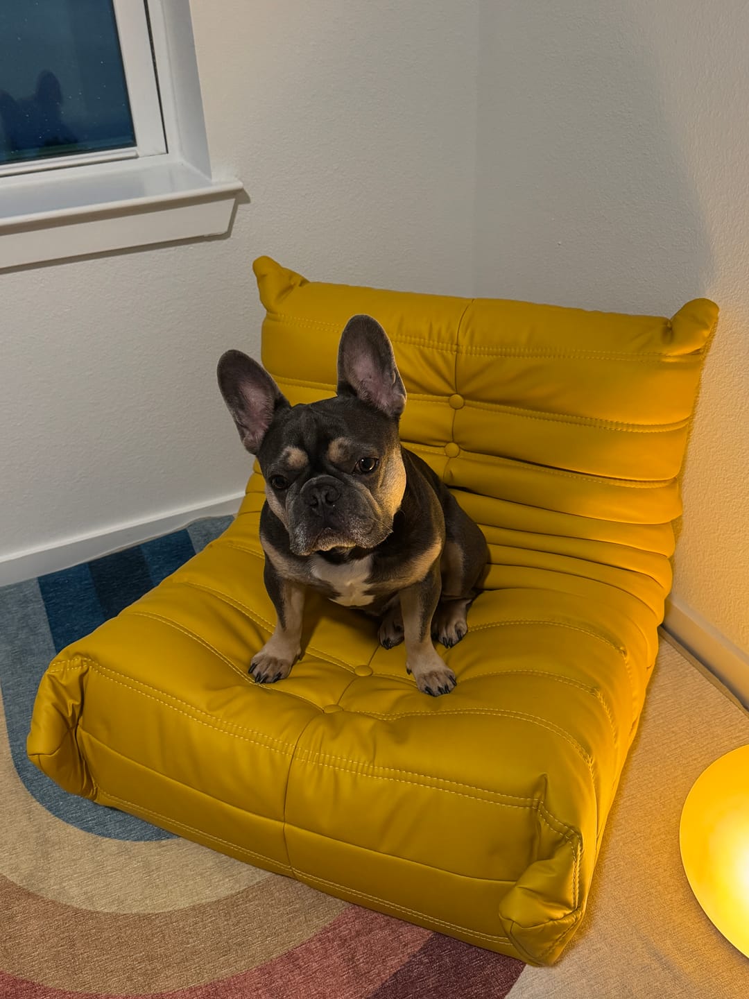 Customer photo review of Kids Chillax Lounger Sofa Chair