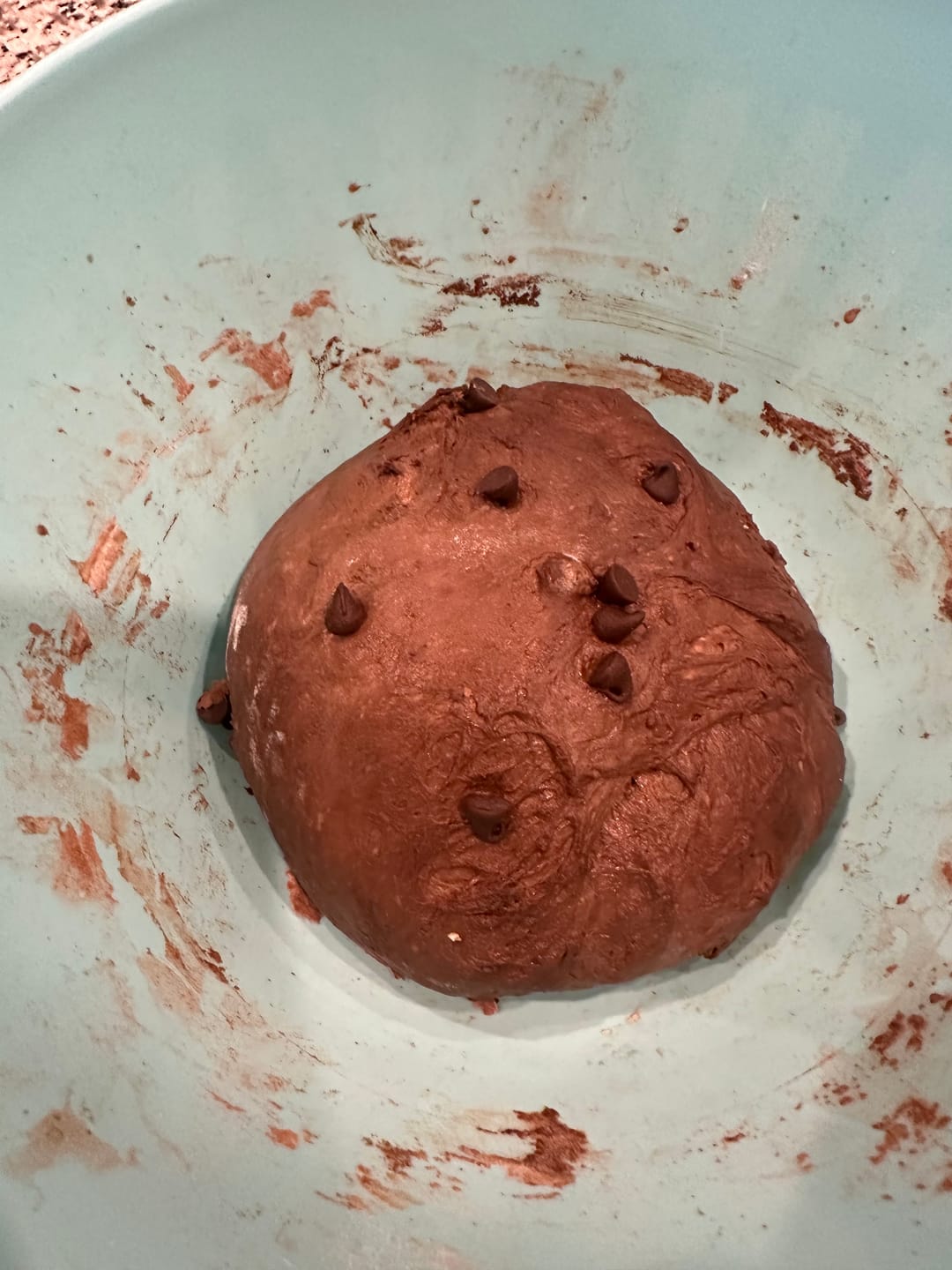 Customer photo review of Little Ranch Family's Live 118 Year Old Valrhona CHOCOLATE Sourdough Starter