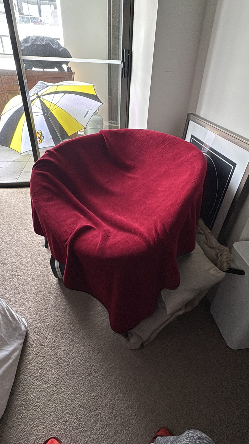 Customer photo review of The SoakHer Blanket