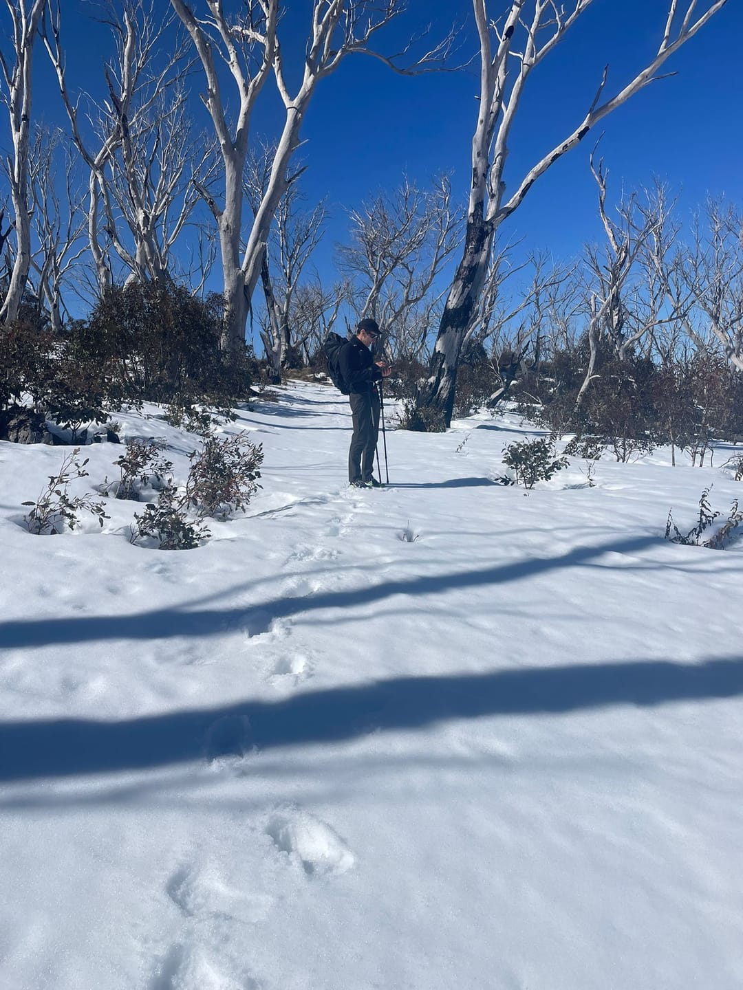 Customer photo review of Switchback Pants