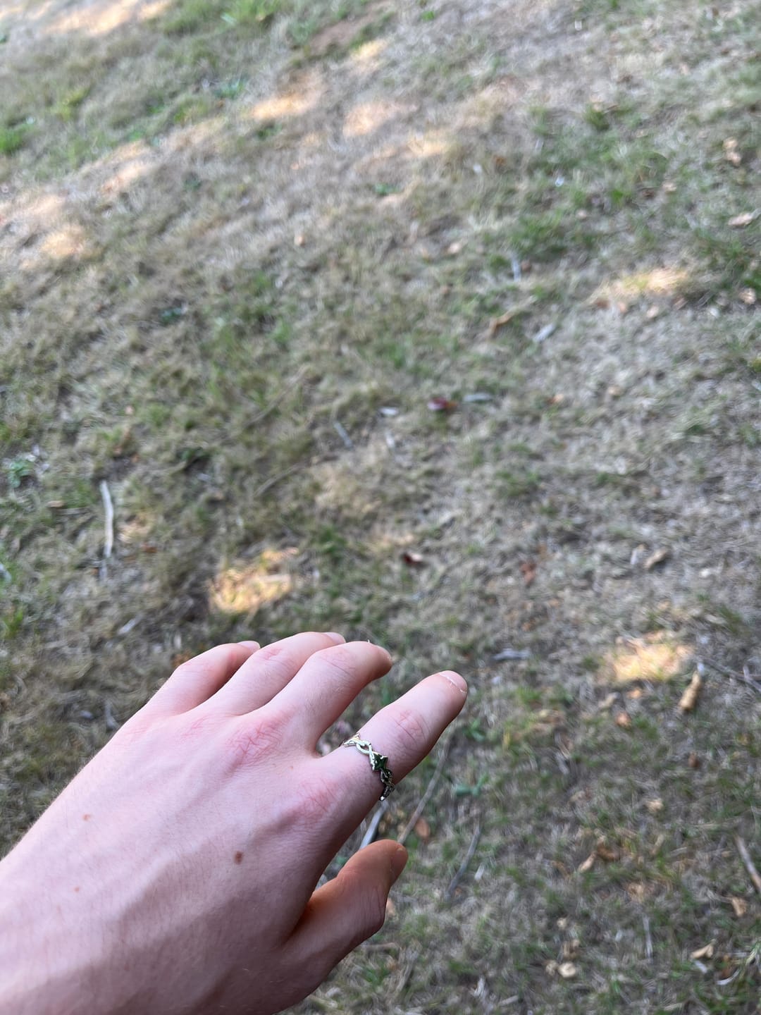 Customer photo review of BARBED WIRE RING