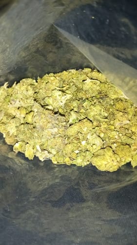 Customer photo review of Purple Urkle THCA Trim