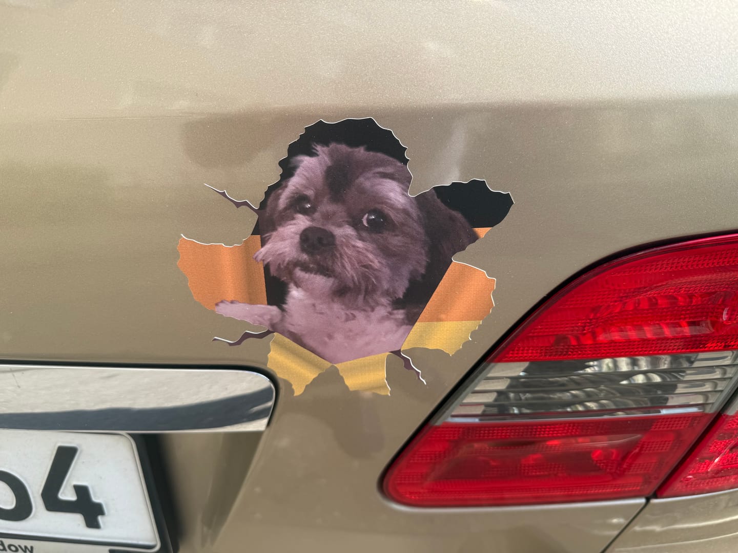Customer photo review of Dein Foto - Individueller Autoaufkleber