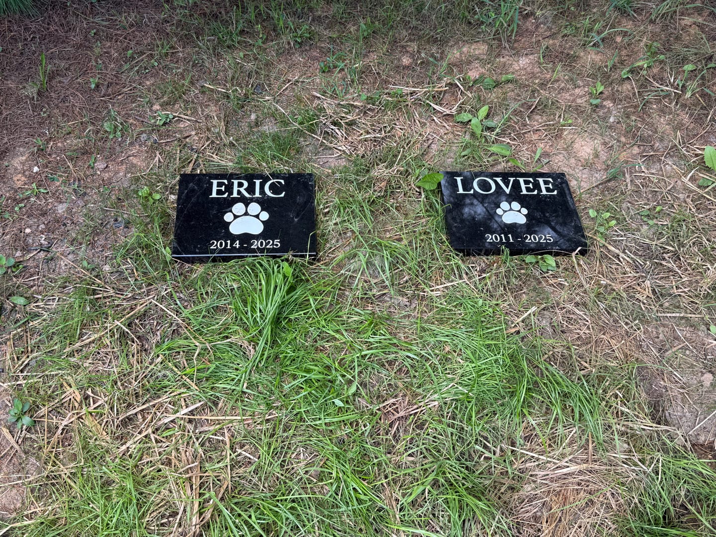Customer photo review of Outdoor Personalized Custom Memorial Plaque Black Granite keepsake stone
