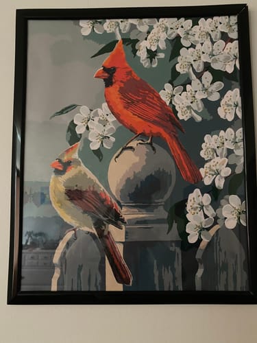 Customer photo review of Backyard Cardinal Pair