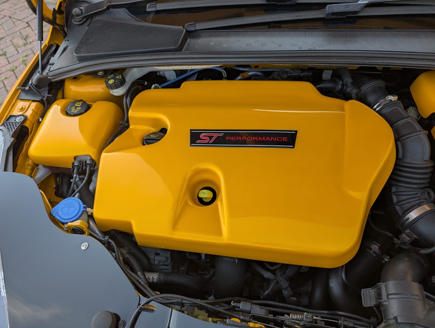 Customer photo review of Proform Under Bonnet Panels / Plates - Mk3/3.5 Focus
