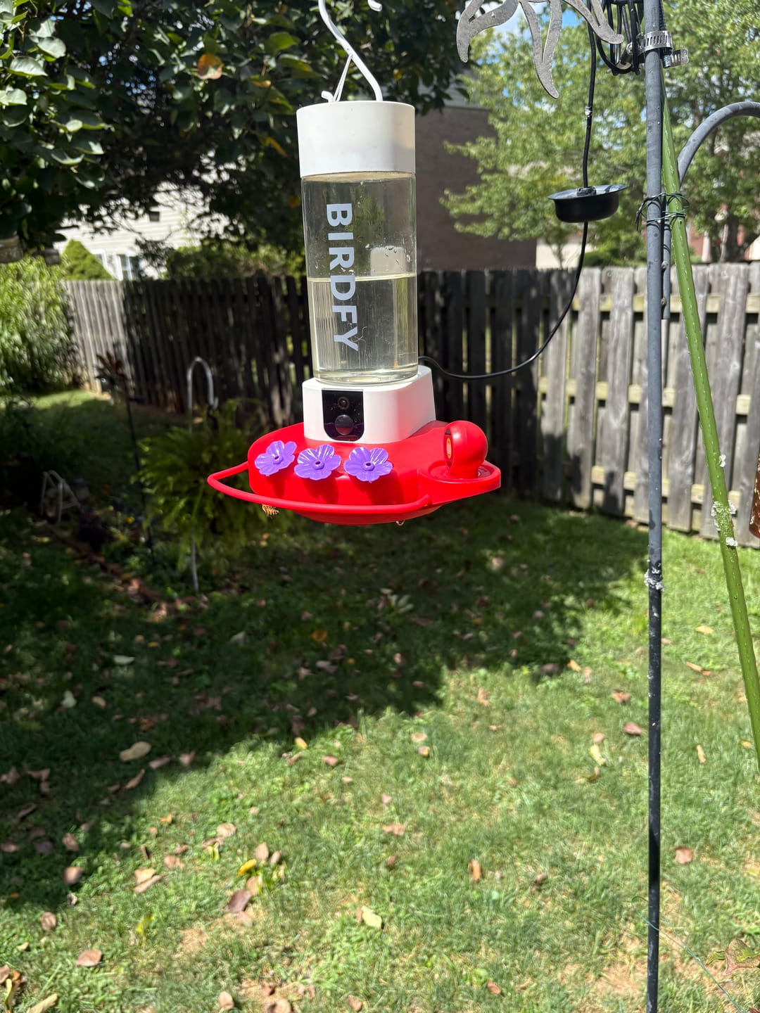 Customer photo review of Birdfy Hum Feeder Duo - Hummingbird Feeder with Dual Camera