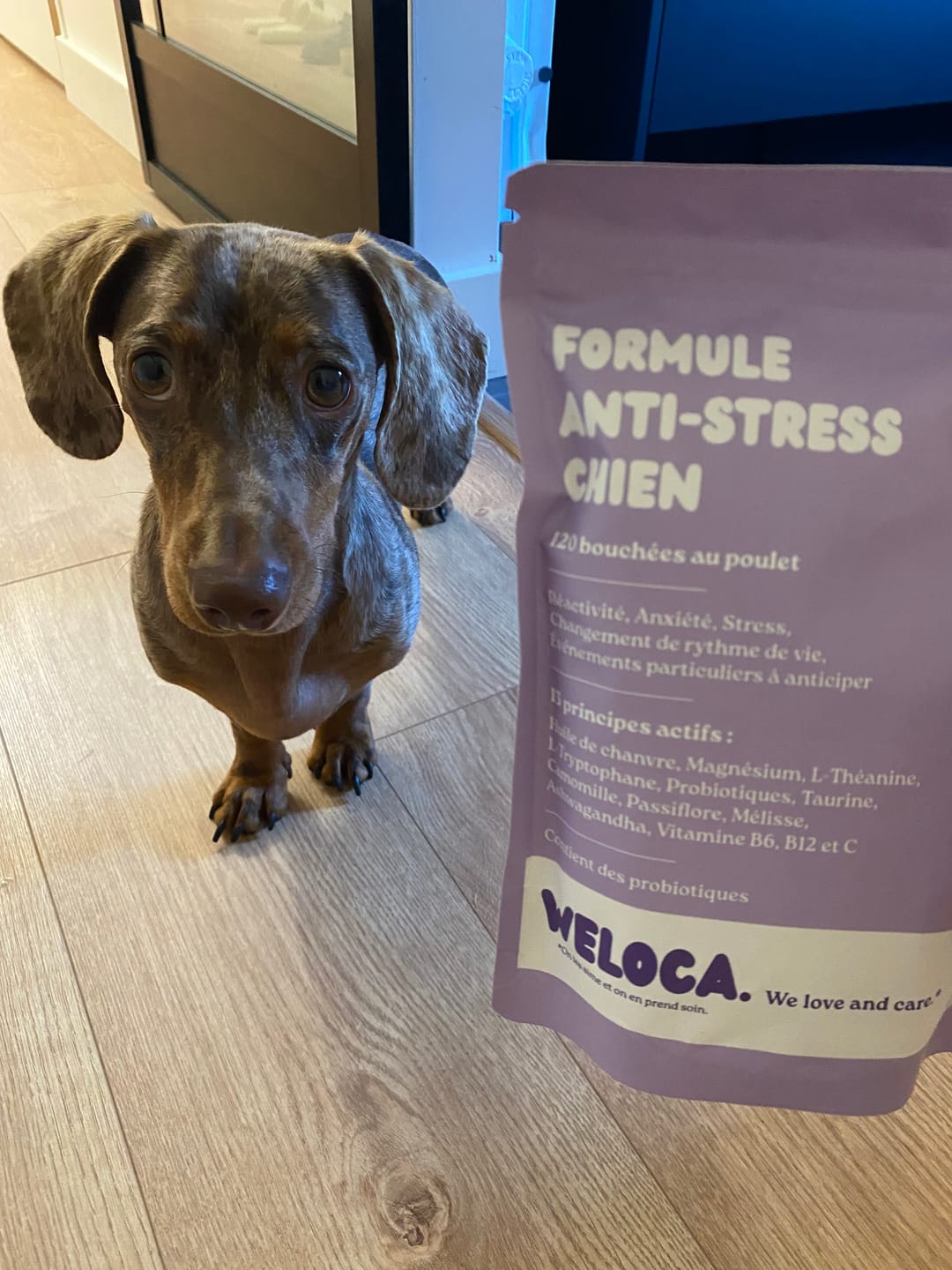 Customer photo review of Complément anxiété  | Chien