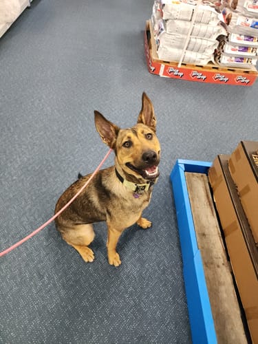 Stacy O. review of Soft Rope Slip Lead 6mm image 1 out of 1