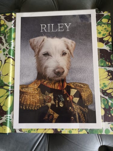 Customer photo review of The General - Custom Vintage Pet Portrait