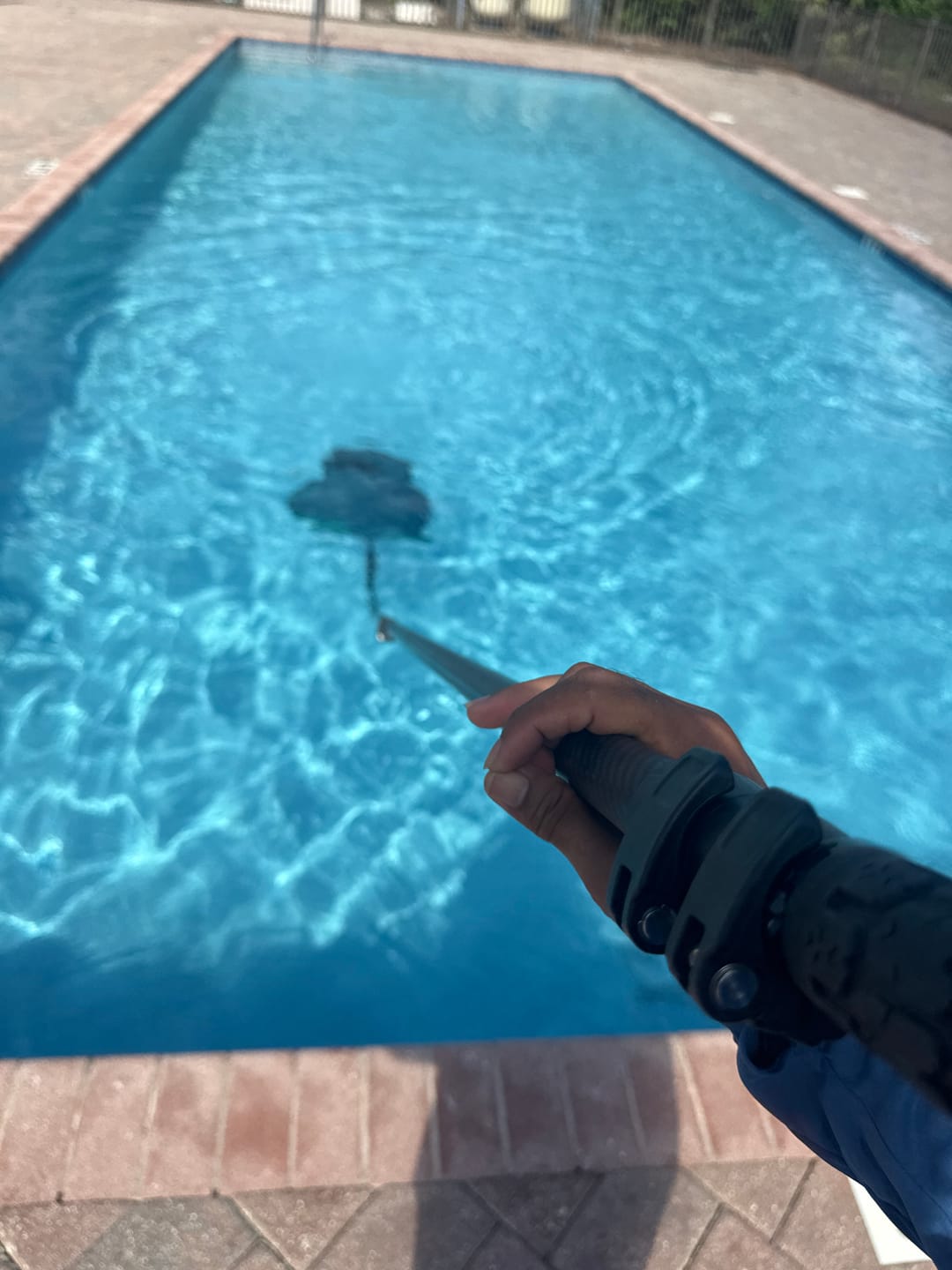 Customer photo review of HyperPole / Carbon Only Swimming Pool pole