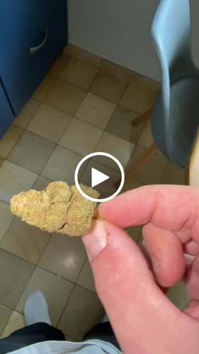 Leon S. review of Blueberry Muffin THC-A Blüten image 1 out of 1