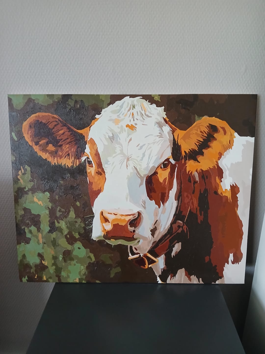 Customer photo review of Cattle Portrait
