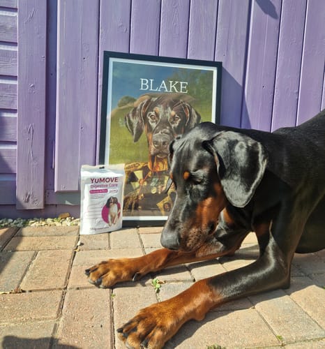 Customer photo review of The General - Custom Vintage Pet Portrait