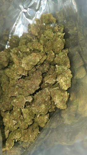 Customer photo review of Cheap THCA Flower Half Pound