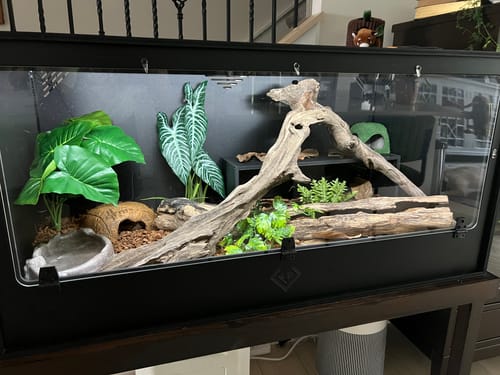 Customer photo review of XT4 BIO24 (48Lx24Dx24H) - STACKABLE