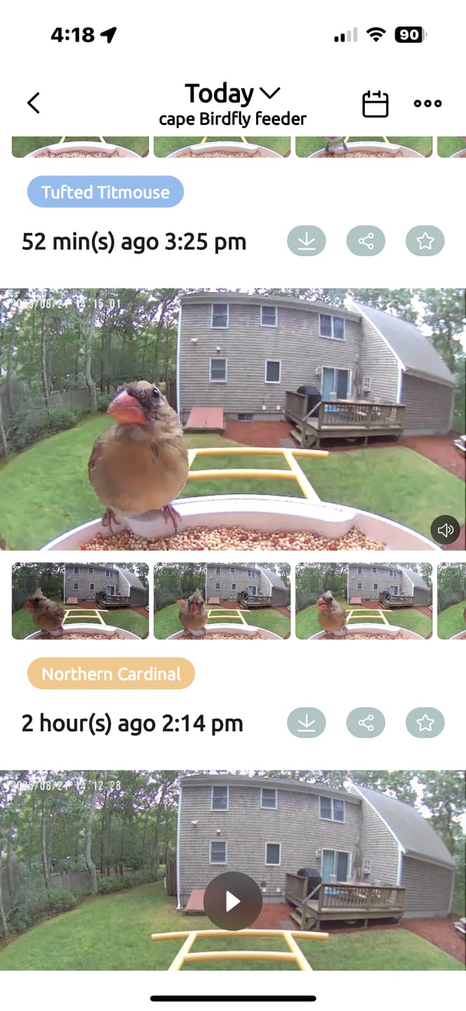 Customer photo review of Birdfy Feeder with Solar Panel - Solar-Powered Smart Bird Feeder with Camera