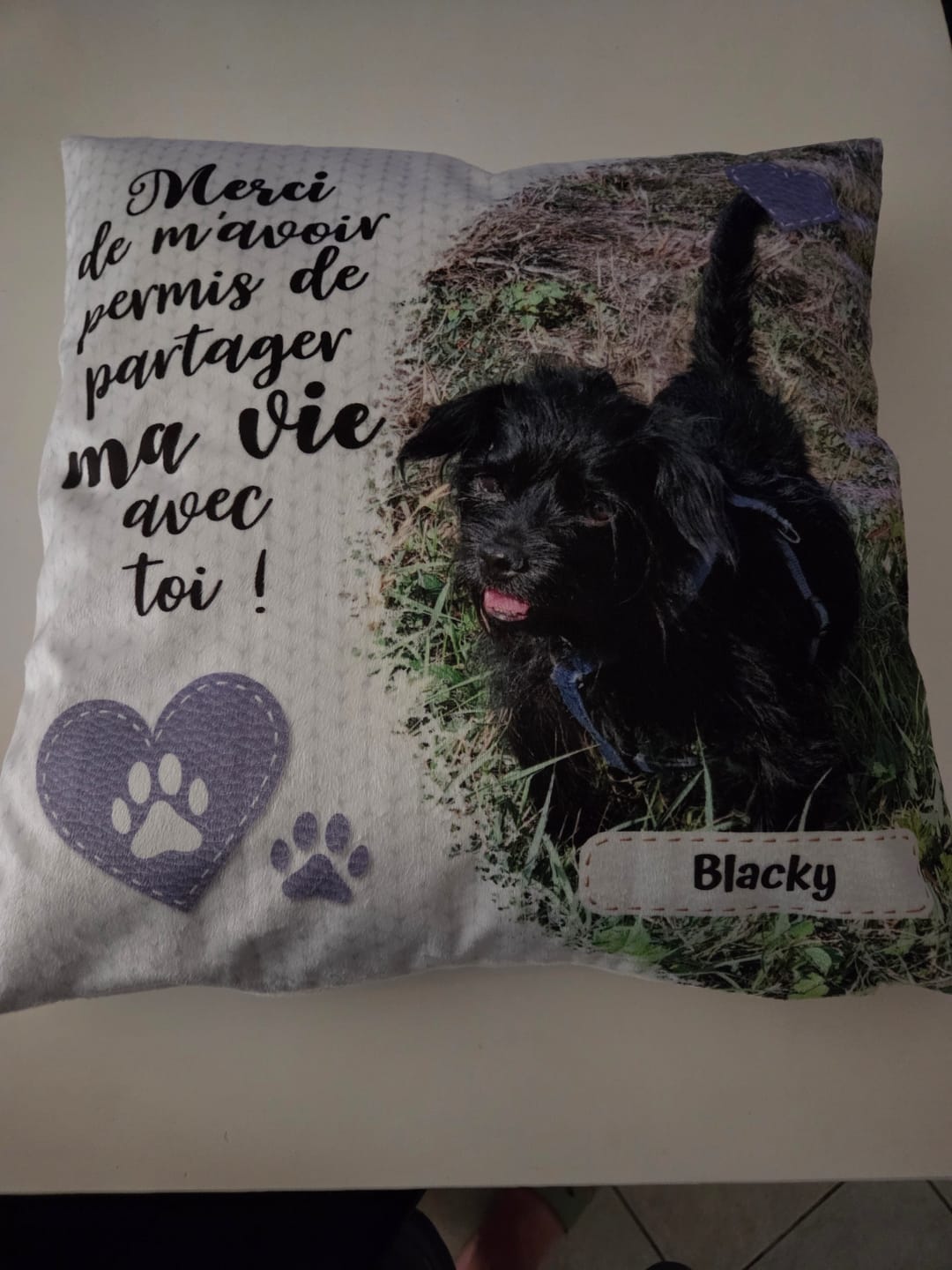 Customer photo review of Merci - Coussin personnalisé