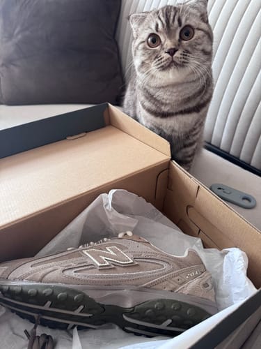 Customer photo review of New Balance 204L Mushroom Arid Stone