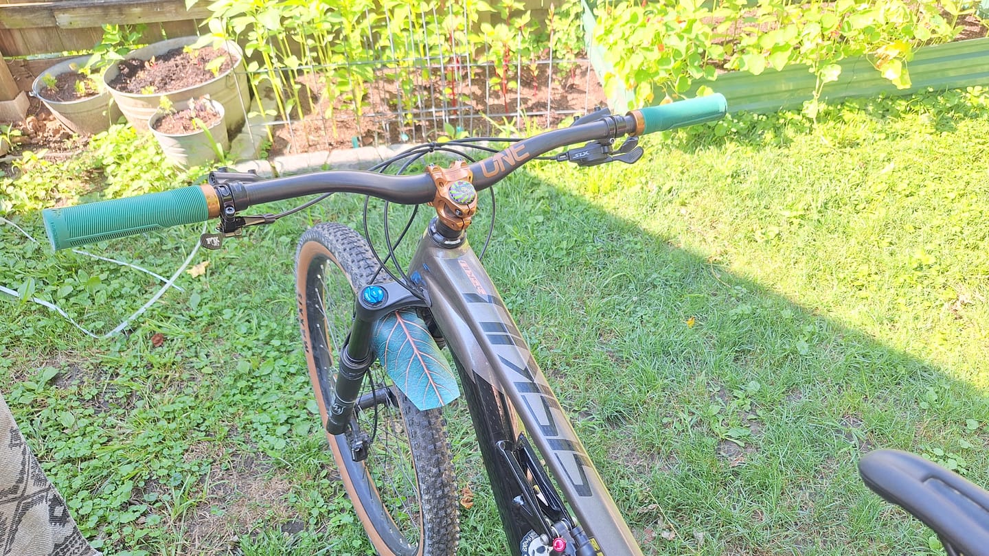 Customer photo review of Custom Fender