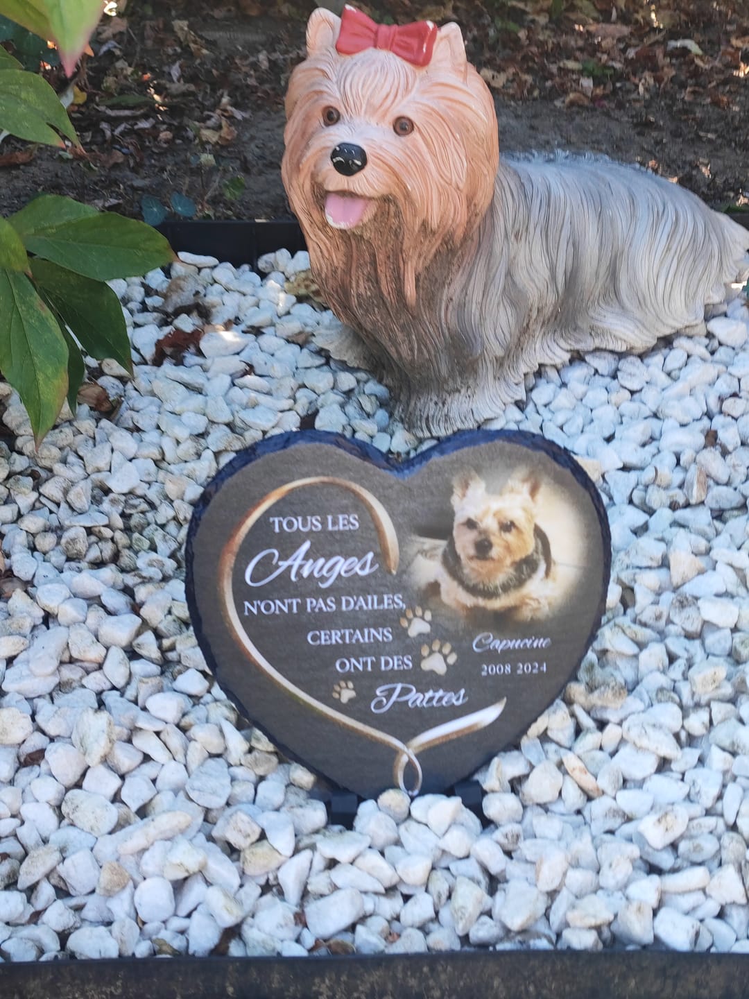 Customer photo review of Anges avec pattes - Cœur en ardoise personnalisé