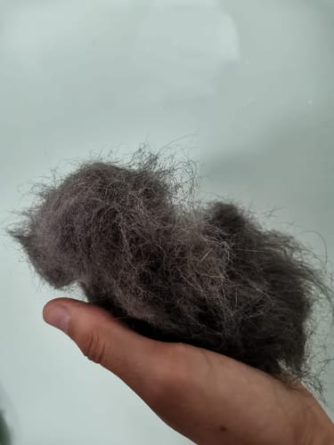 Customer photo review of Fellwunder-Bürste