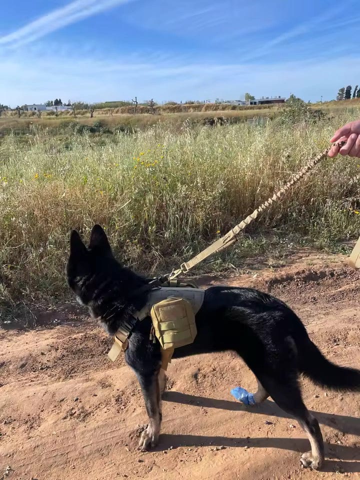Customer photo review of Striker Military-Grade Tactical No-Pull Harness V4