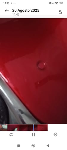 Customer photo review of Eliminador de insectos