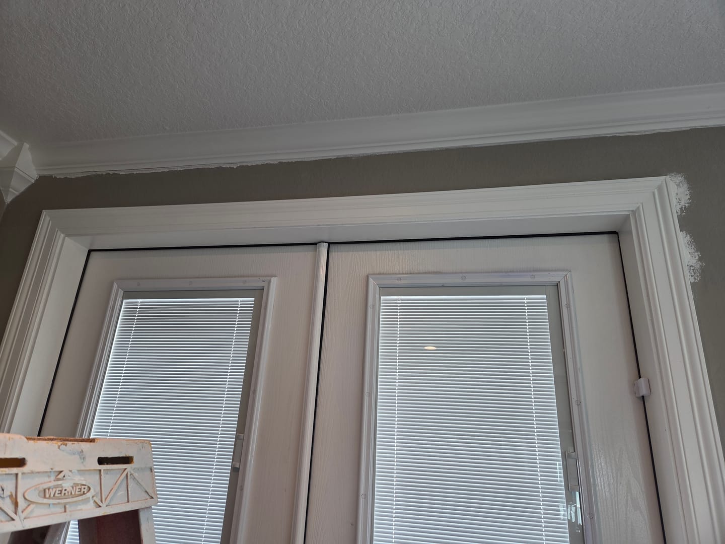Customer photo review of Exterior Head Jamb (Primed Poplar)