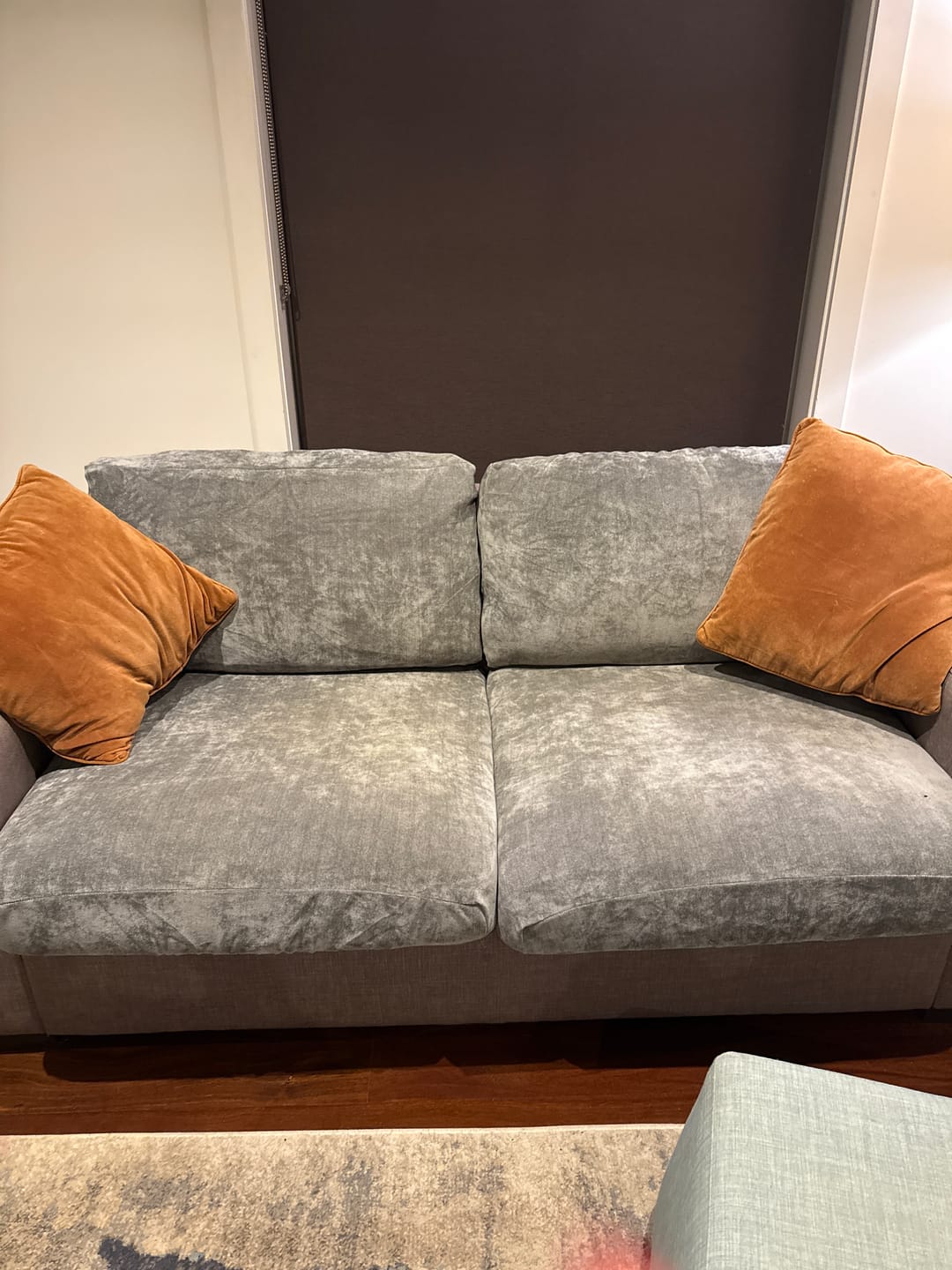 Customer photo review of Performance+ Couch Covers