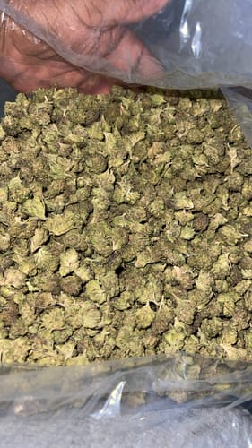 Customer photo review of Goji Berries Exotic THCA