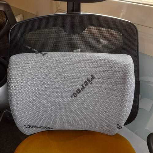 Customer photo review of Back Support Pillow - Rolo