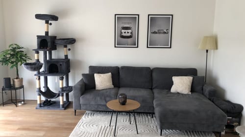 Customer photo review of Silver Side RS
