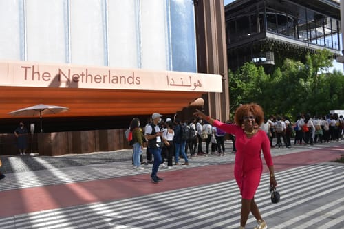 Customer photo review of VIP Gold