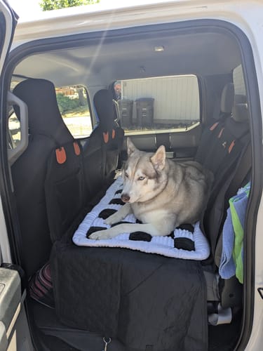 Customer photo review of RuffRover 2.0™ - Hard Bottom Back Seat Extender + (FREE Dog Bed)