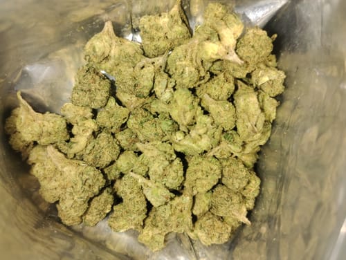 Customer photo review of True Blueberry (smalls)
