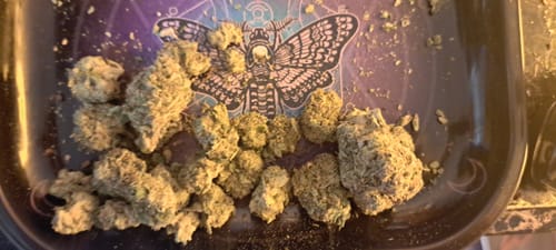 Customer photo review of London Pound Cake THCA Flower