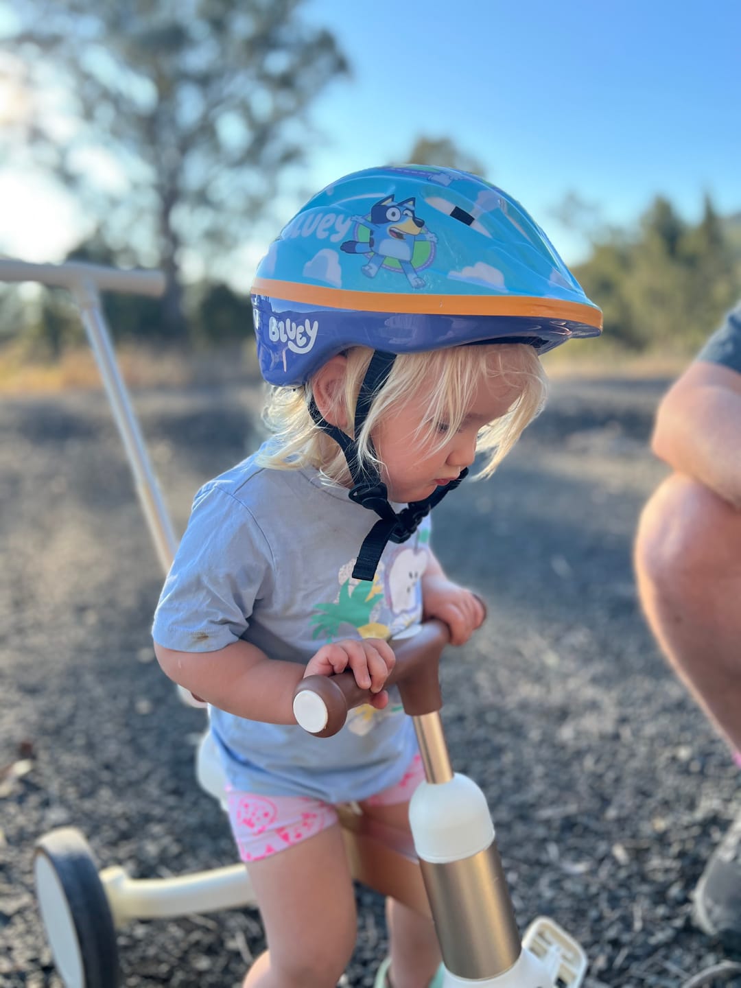 Customer photo review of Toddler Push Trike with Parent Handle 5-in-1 Kids Trike Balance Bike