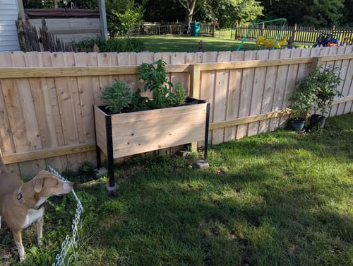 Customer photo review of 18" x 48" Raised Garden Bed - 30" TALL