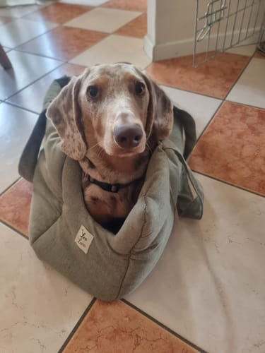 Customer photo review of Borsa Mattias (Soft Touch) Verde