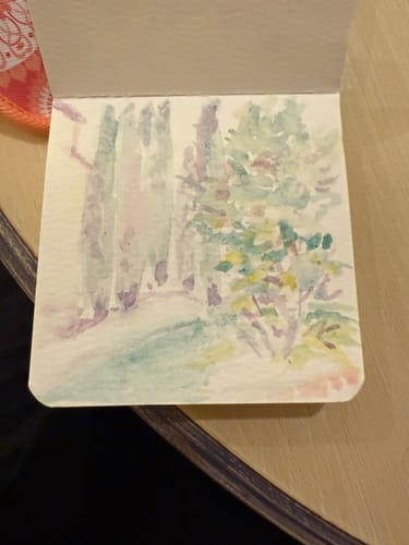 Customer photo review of Tobio's™ Watercolor Kit
