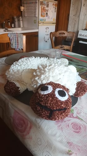 Customer photo review of Alize Puffy Fine