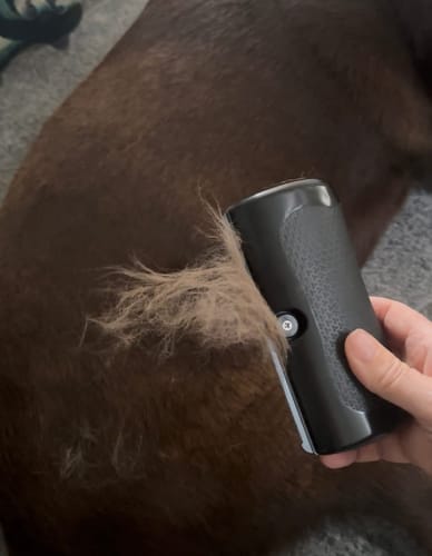 Customer photo review of Fellwunder-Bürste