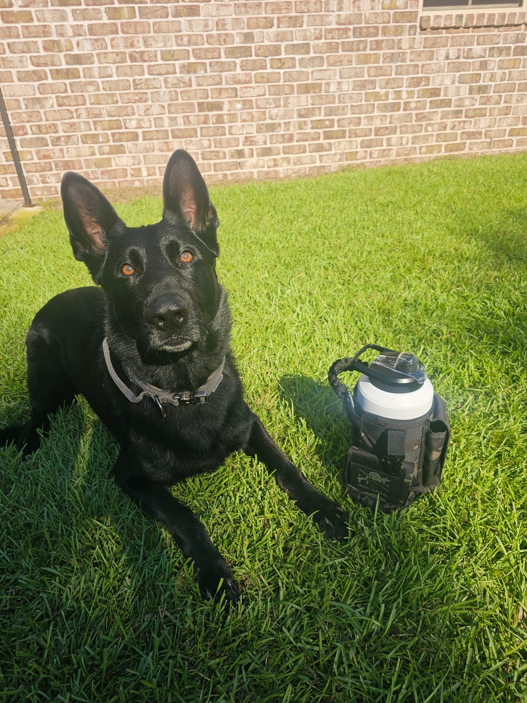 Customer photo review of Battle Bottle Sleeves - 64oz