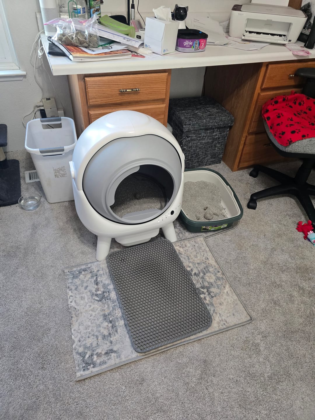 Customer photo review of [🔥Back to School Sale] Orbitie with Wide Opening Self Cleaning Litter Box