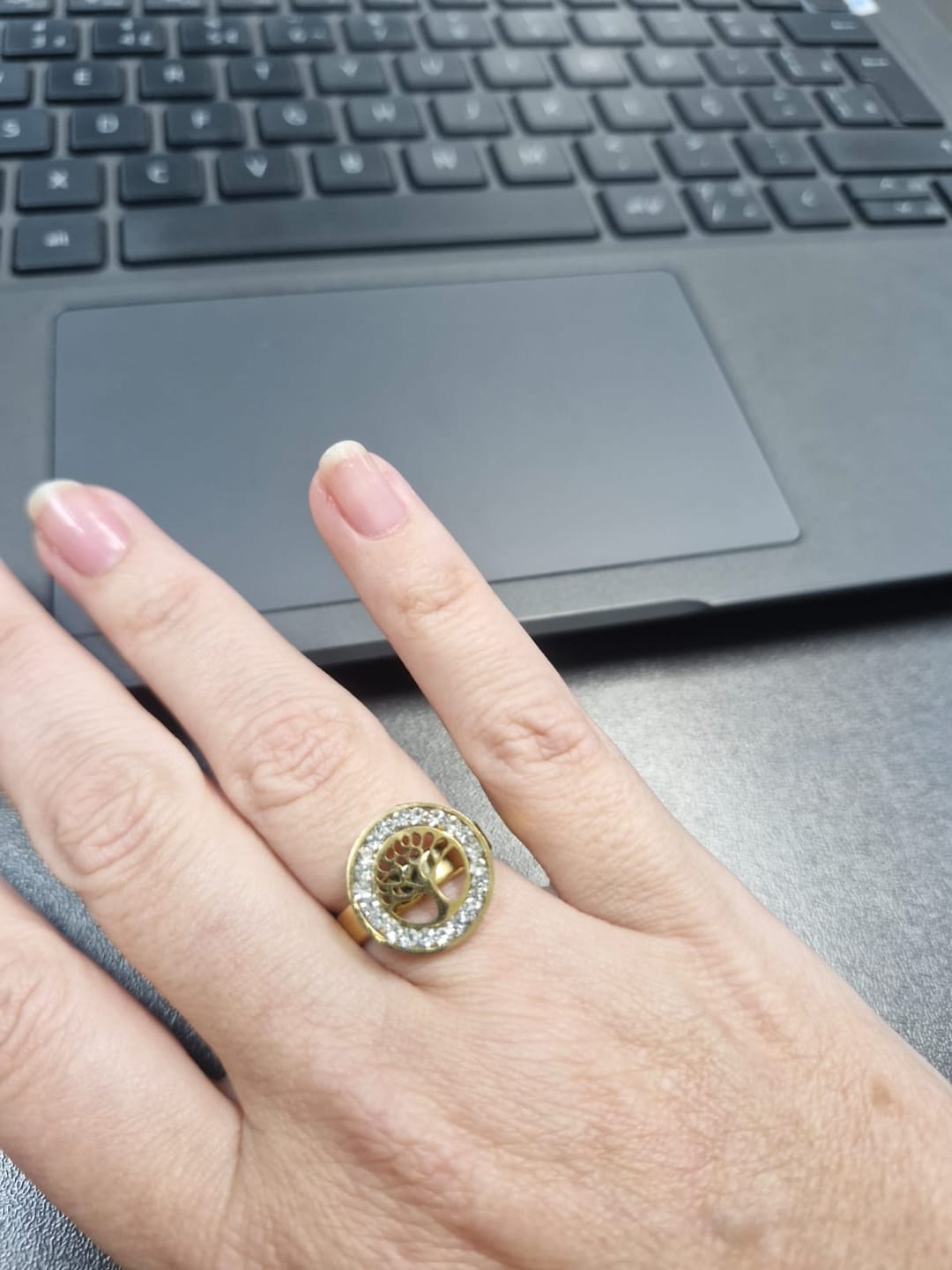 Customer photo review of Anel Árvore da Vida Banhado em Ouro 18K