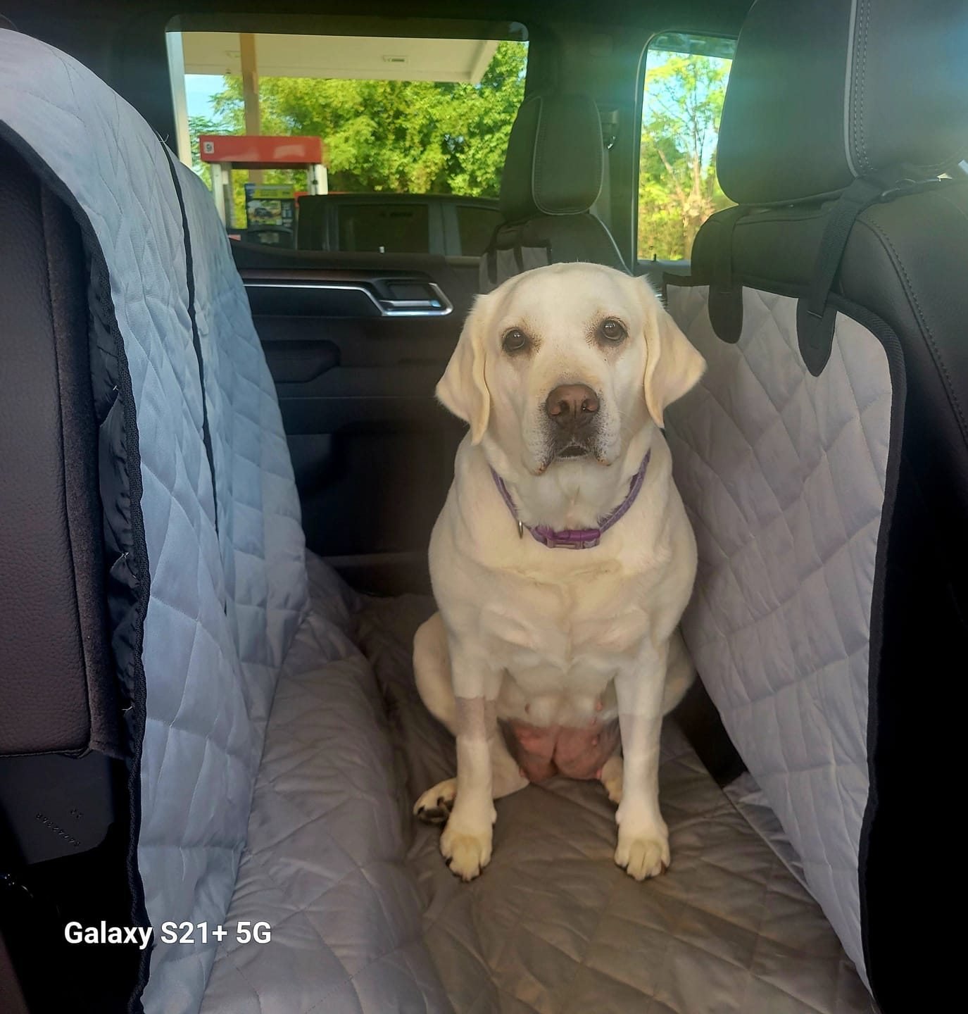 Customer photo review of Floor Hammock for Crew Cab Trucks - Passenger Side