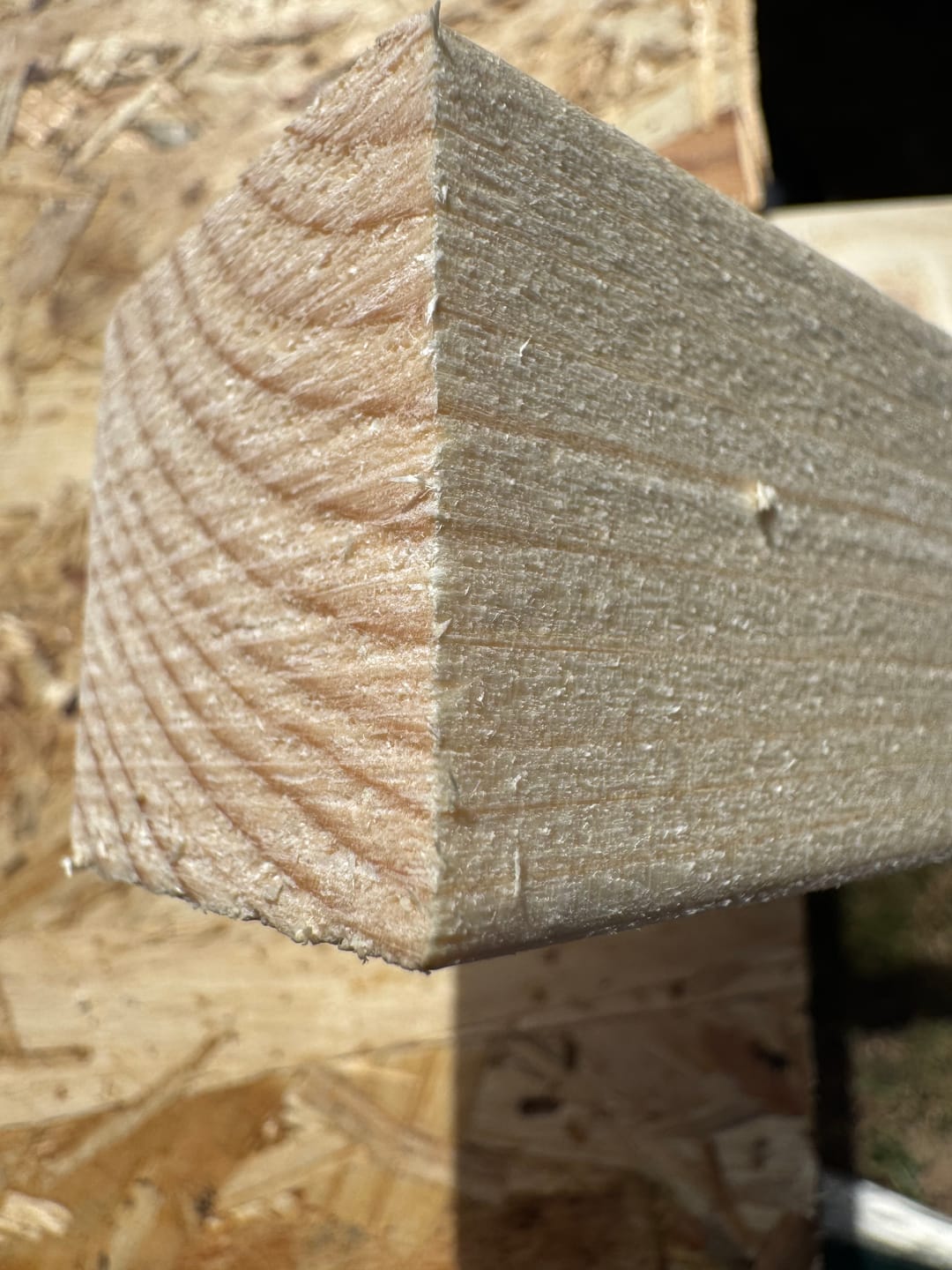 Customer photo review of Shogun | Japanese Folding Crosscut Pull Saw 265mm Length