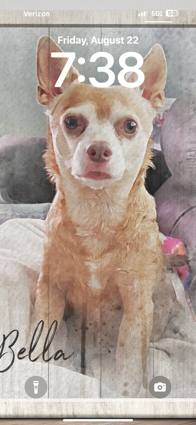 Customer photo review of Personalized Photo Canvas Prints, Custom Photo, Pet Loss Gifts, Memorial Gifts, Sympathy Gifts, Remember Me Dem Canvas