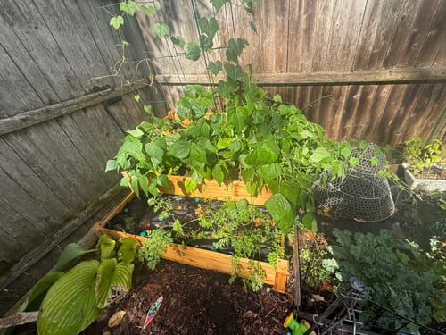 Customer photo review of Design Your Own Garden